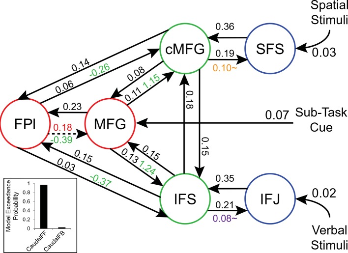 Figure 6—figure supplement 3.