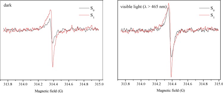 Fig 10