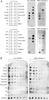 Fig. 6.