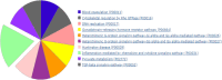 Fig. 4:
