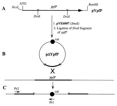 FIG. 1