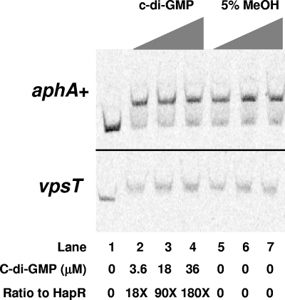 FIG. 8.