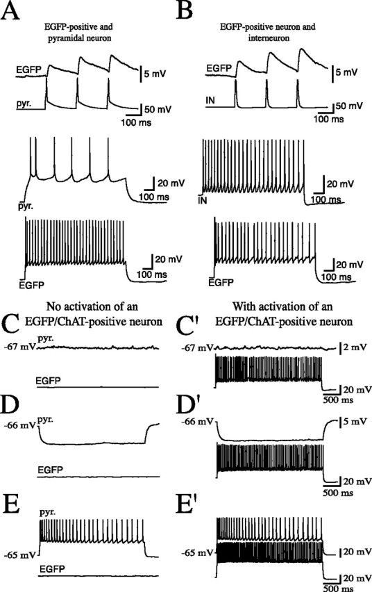 Figure 7.