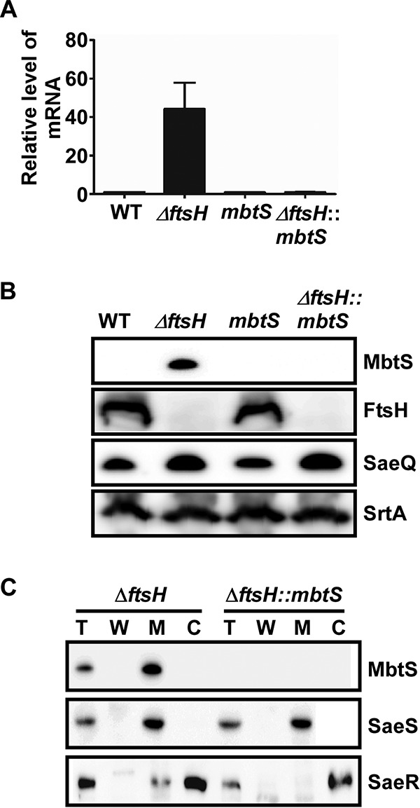 FIG 2