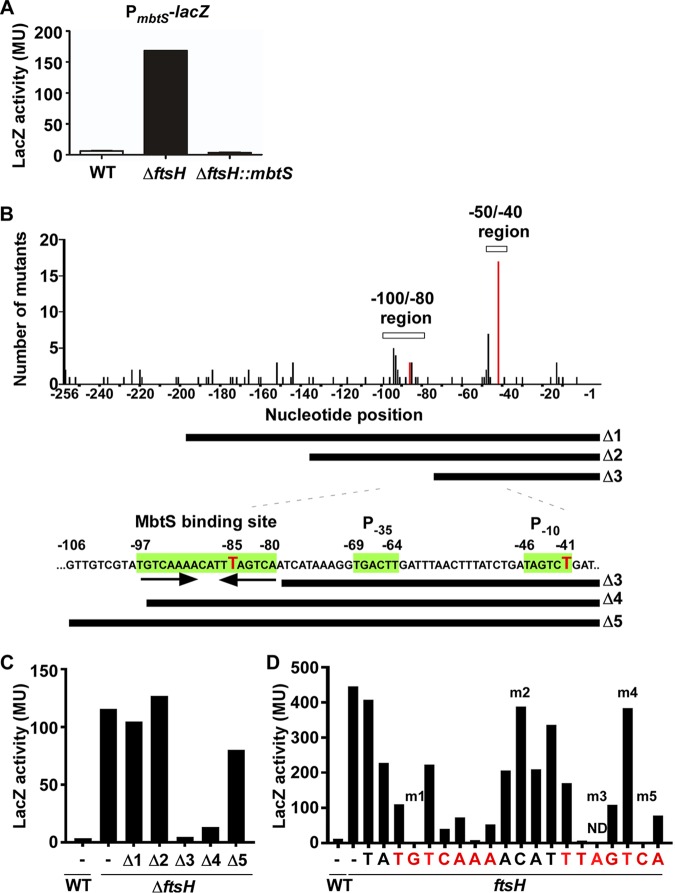 FIG 4