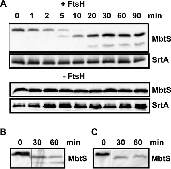 FIG 3