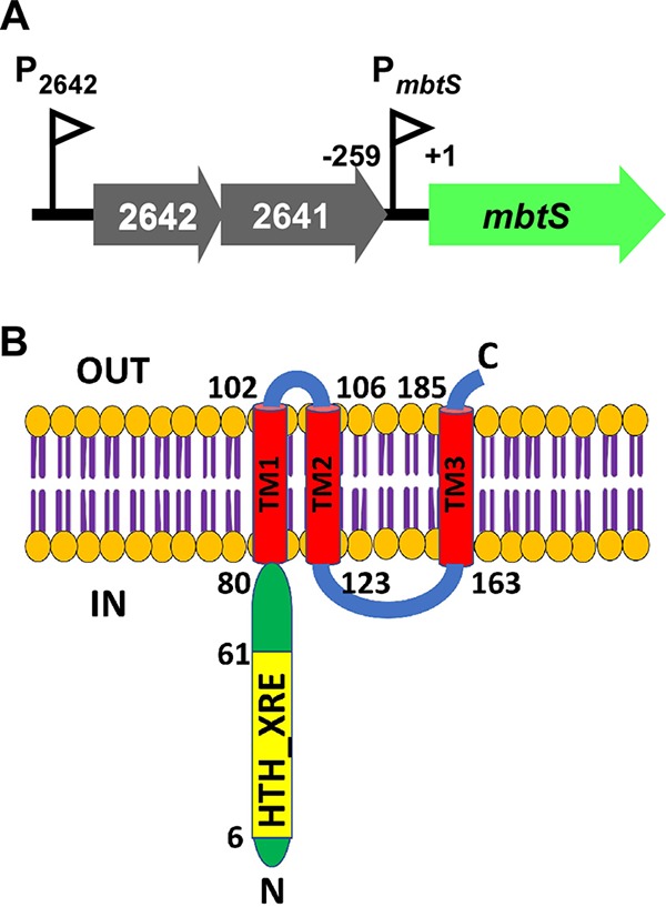 FIG 1