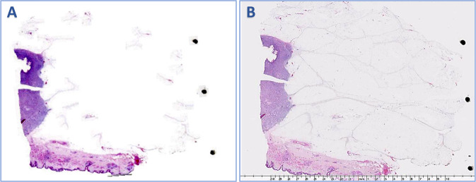 Fig. 6