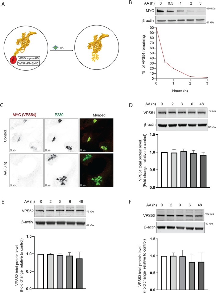 FIGURE 2