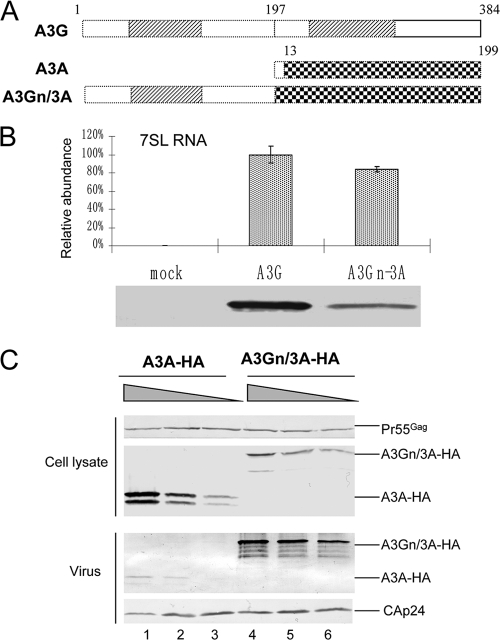 FIG. 5.