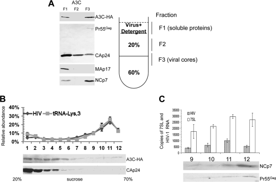 FIG. 6.