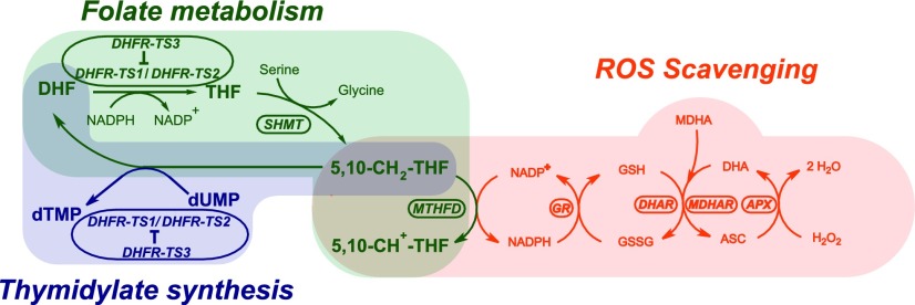 Figure 11.