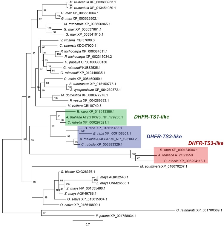 Figure 2.