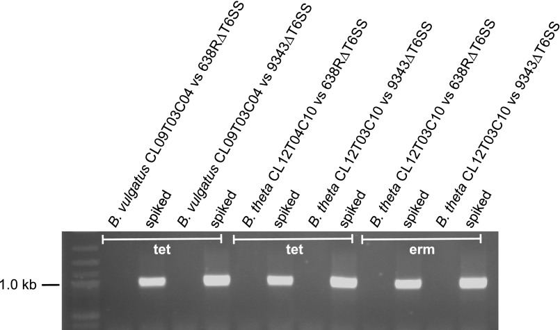 Fig. S1.