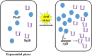 Graphical Abstract