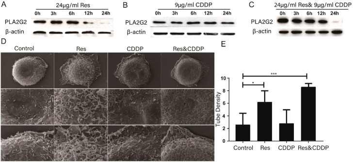 Figure 4