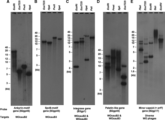 FIG. 6.