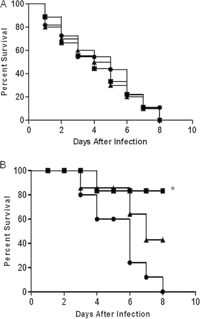 FIG 5