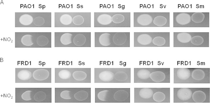 FIG 1