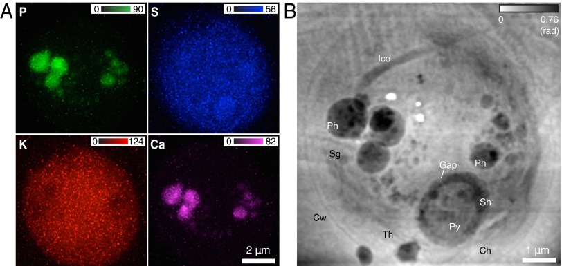 Fig. 4.