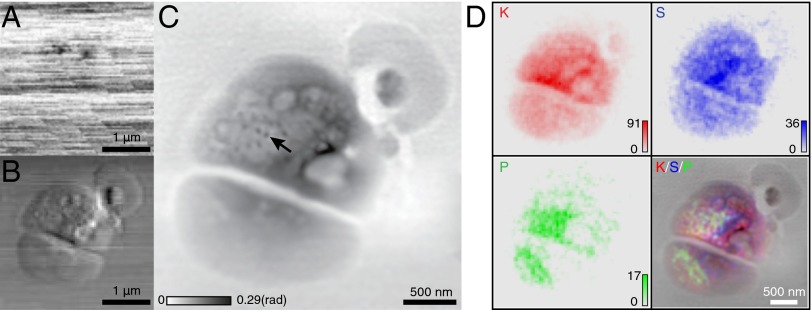 Fig. 3.