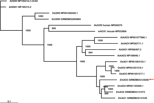 Fig. 3.