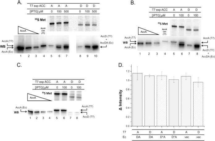 FIG 3