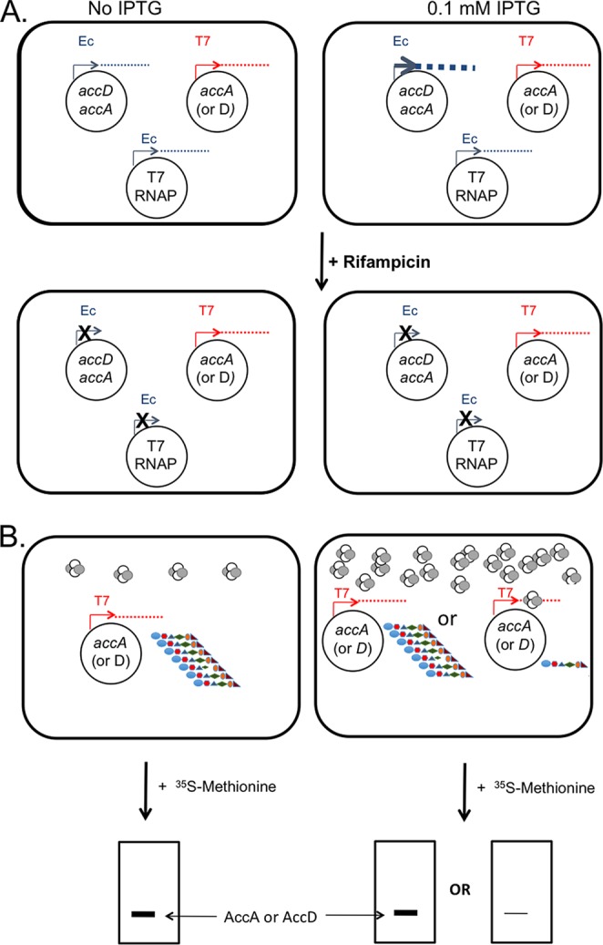 FIG 2