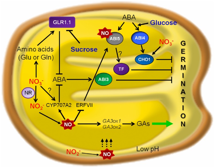 FIGURE 1