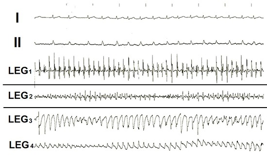 Figure 6.