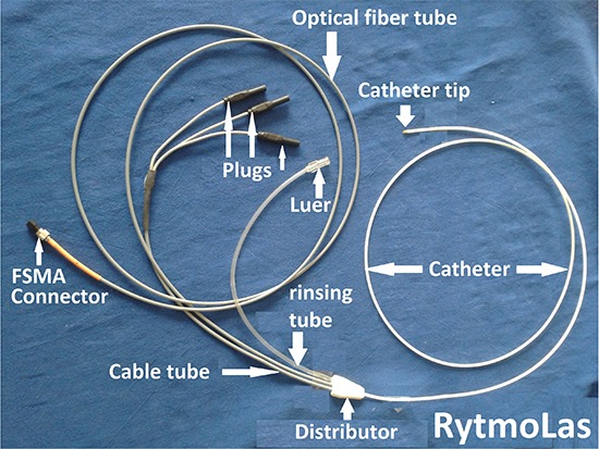 Figure 3.