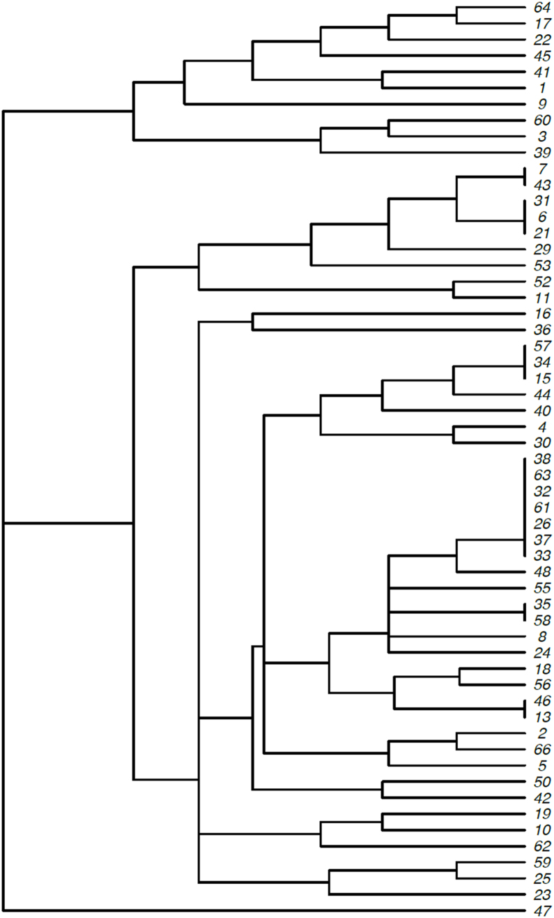 Supplementary Fig. S1