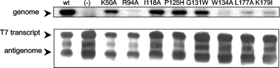 FIG. 5.