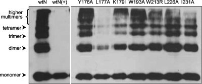 FIG. 7.