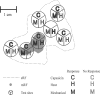 Fig. 8.