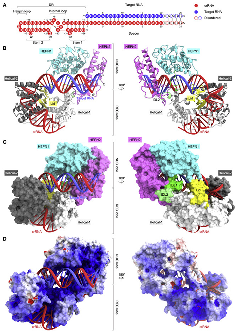 Figure 4