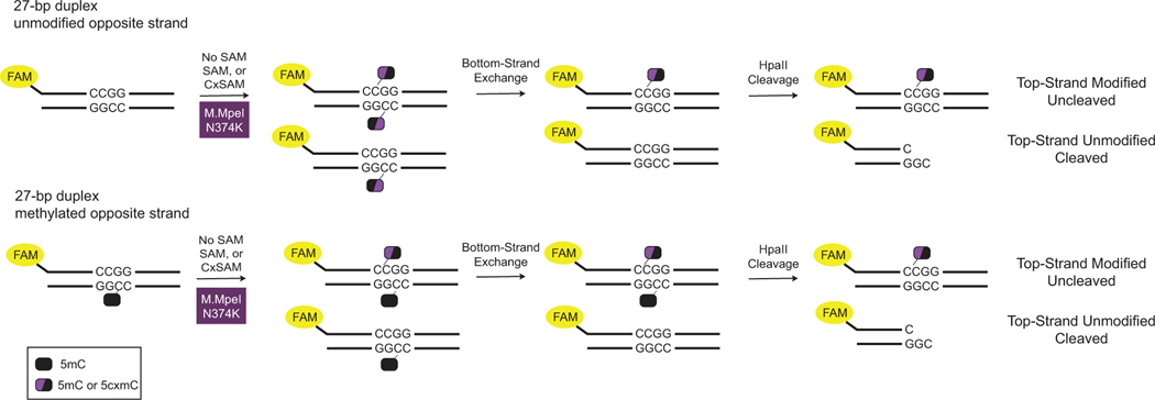 Extended Date Figure 3.