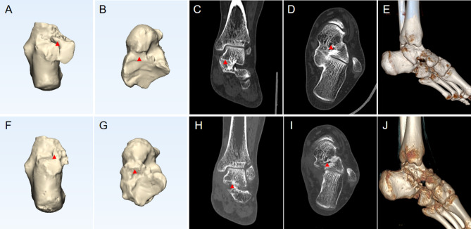 Fig. 7