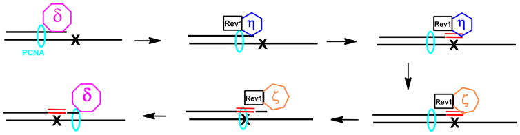 Scheme 2