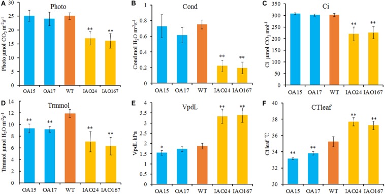 FIGURE 3