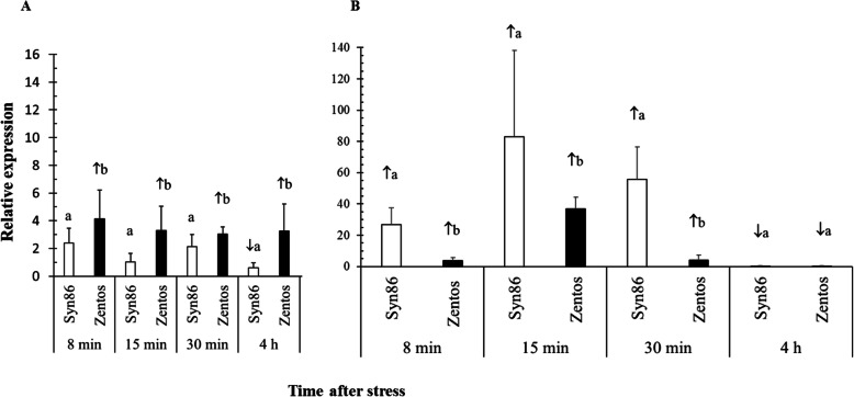 Fig. 9