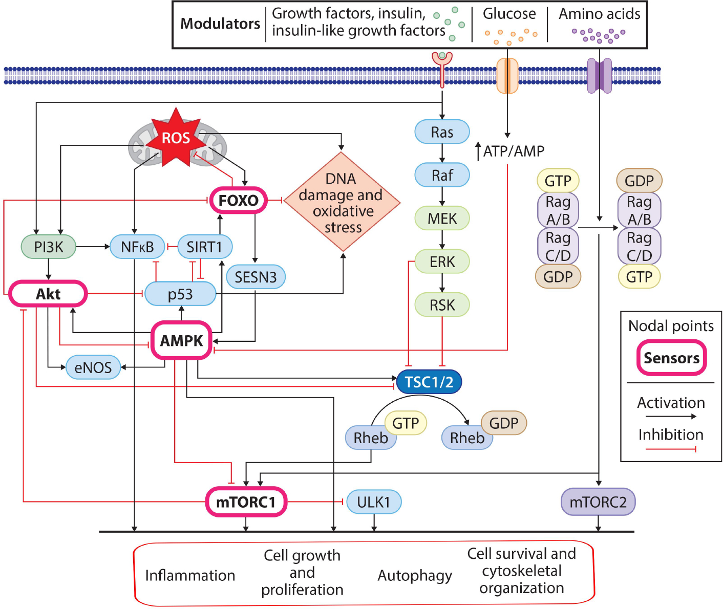 Figure 4.