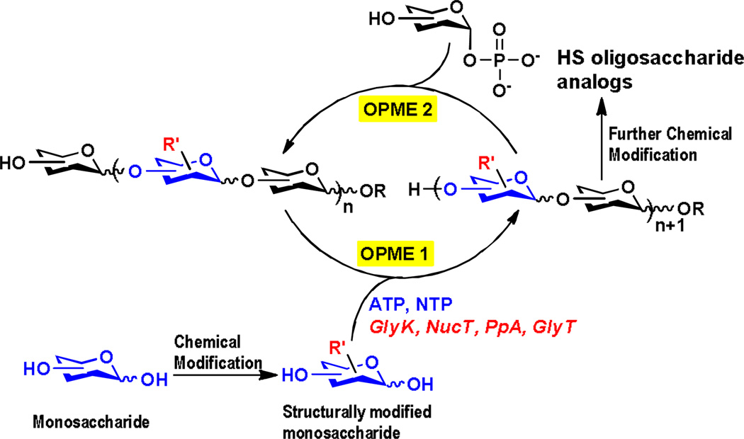 Scheme 1