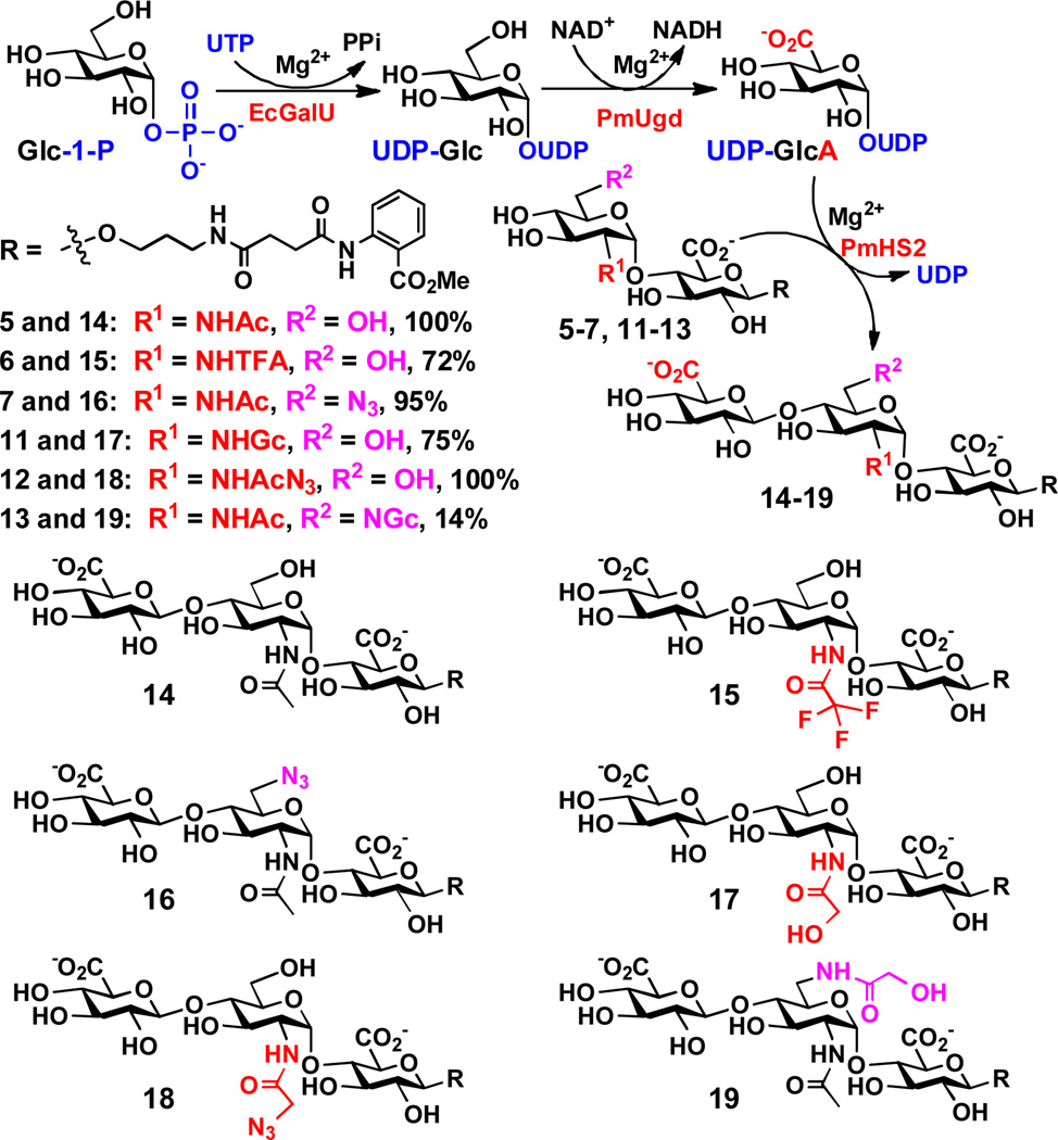 Scheme 4