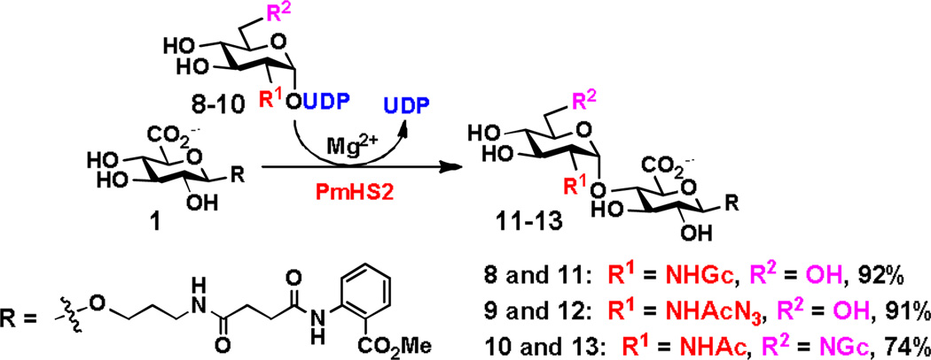 Scheme 3