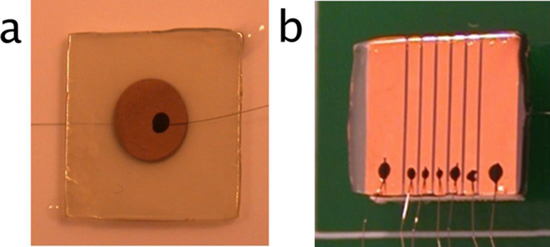 Figure 1: