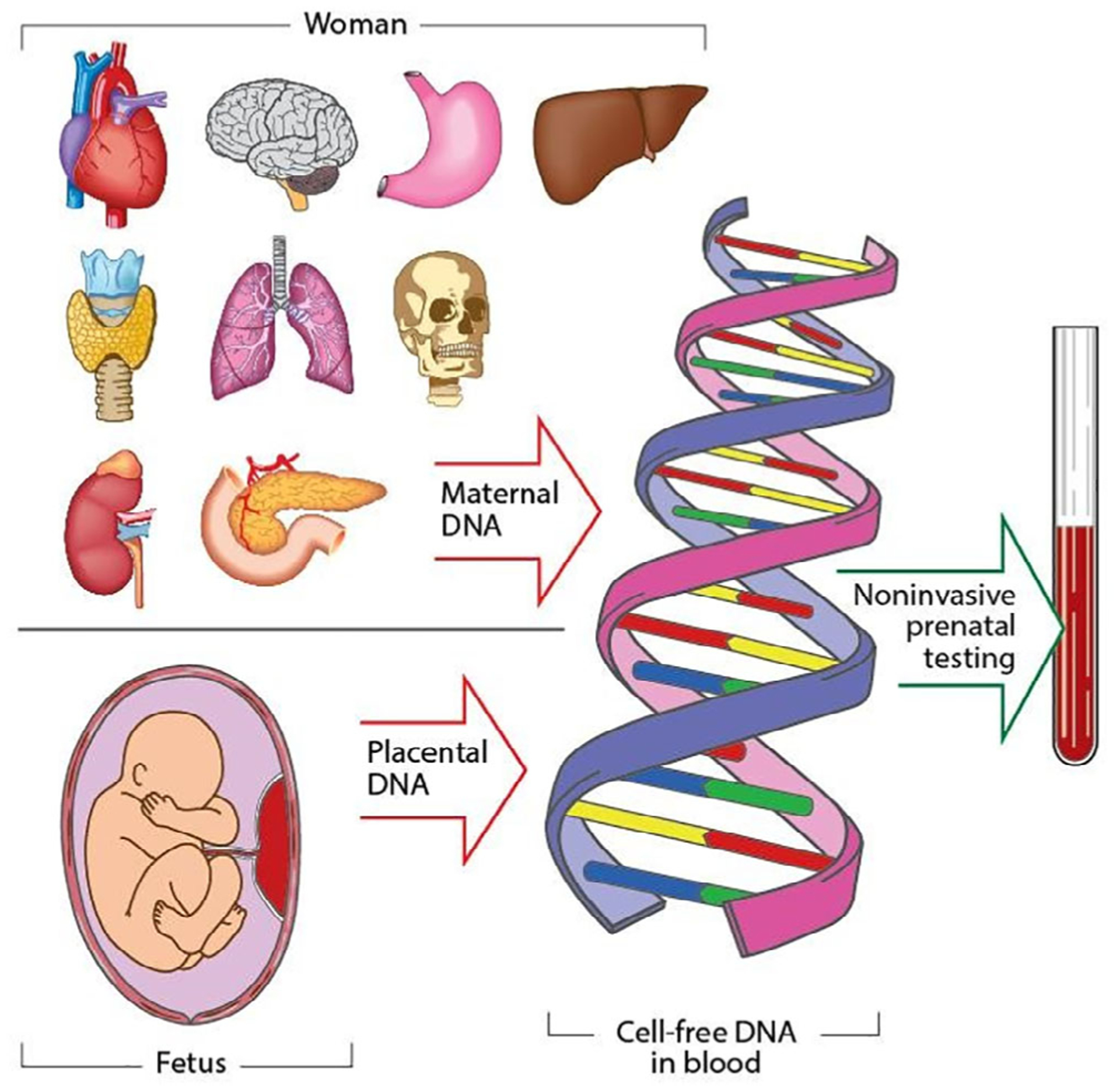 FIGURE 1