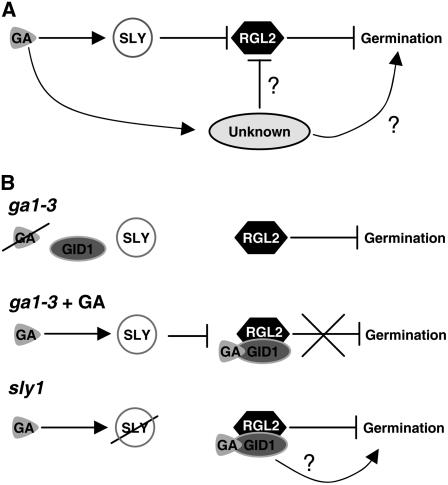 Figure 9.