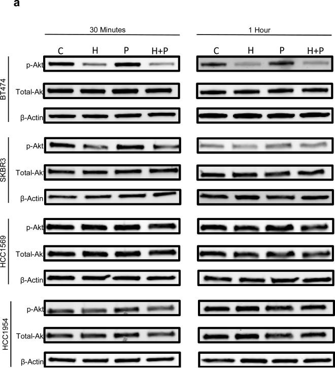 Fig A3a