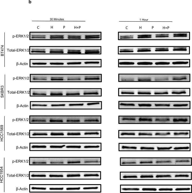 Fig A3b